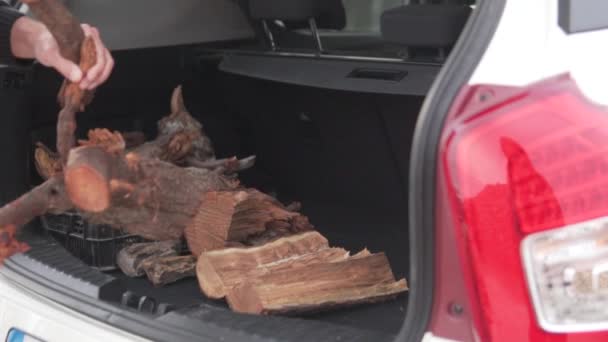Ένας Άνθρωπος Βάζει Καυσόξυλα Στο Πορτ Μπαγκάζ Ενός Αυτοκινήτου — Αρχείο Βίντεο