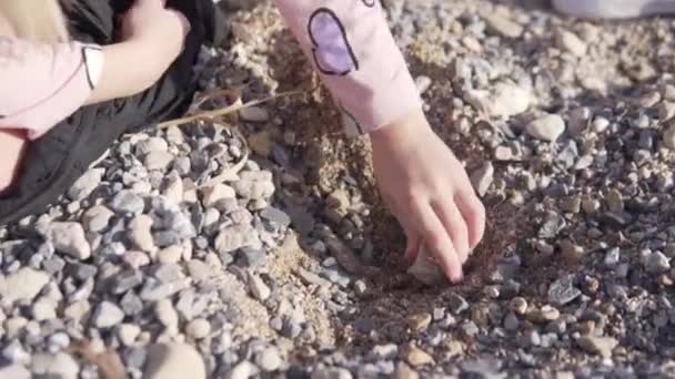 Mani Dei Bambini Stanno Sistemando Ciottoli Una Spiaggia Ciottoli Primo — Video Stock