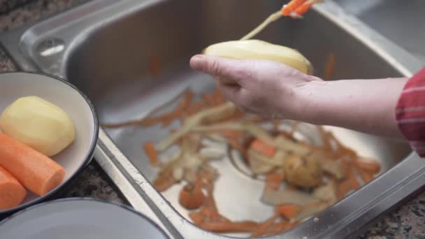Persona Pelando Zanahorias Fregadero Con Ingredientes Alimentarios — Vídeos de Stock
