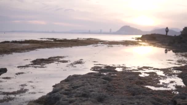 Zachodzie Słońca Człowiek Stoi Nad Brzegiem Spokojnego Jeziora Patrząc Piękny — Wideo stockowe
