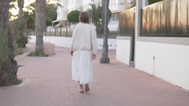 Вид Ззаду Красива Жінка Прогулюється Вздовж Набережної Заході Сонця Прагне — стокове відео