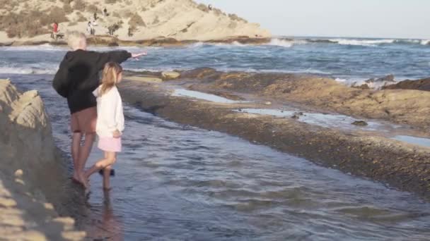 Erkek Kız Kardeş Huzursuz Denizdeki Dalgalara Vahşi Sahildeki Mutlu Çocuklara — Stok video