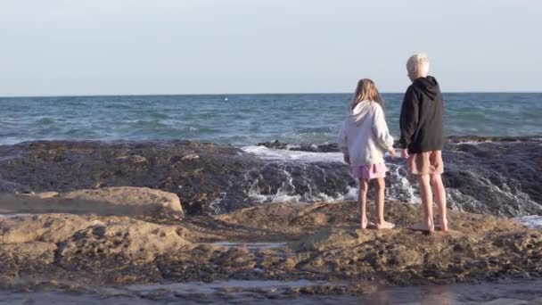 Sarışın Çocuk Deniz Kenarındaki Bir Kayanın Üzerinde Kız Kardeşlerini Tutuyor — Stok video