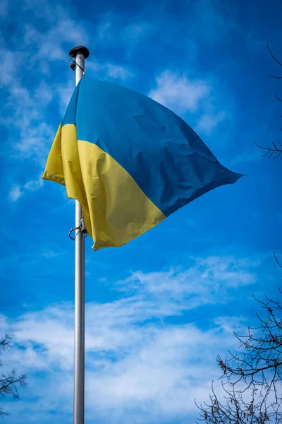 Flaga Ukrainy Wietrze Niebieskim Niebem Tle — Zdjęcie stockowe