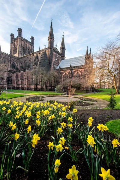 Fiori Primaverili Fioriscono Nel Giardino Della Cattedrale Chester Città Chester — Foto Stock