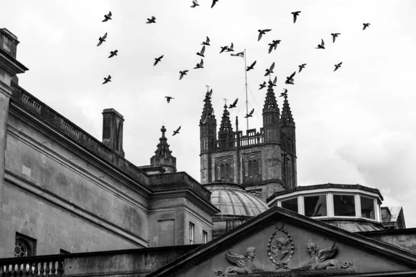 Imagen Blanco Negro Aves Volando Sobre Abadía Bath Reino Unido —  Fotos de Stock