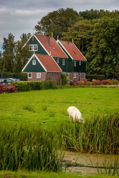 Malowniczy Widok Piękne Tradycyjne Domy Holandia — Zdjęcie stockowe