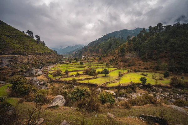 Valle Del Barikot Nawagai Swat Pakistán — Foto de Stock