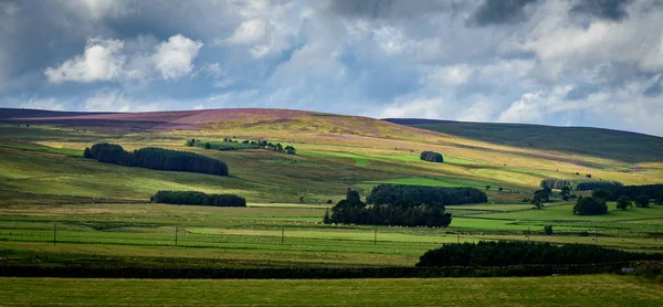 Skoç Manzarasının Panoramik Görüntüsü — Stok fotoğraf