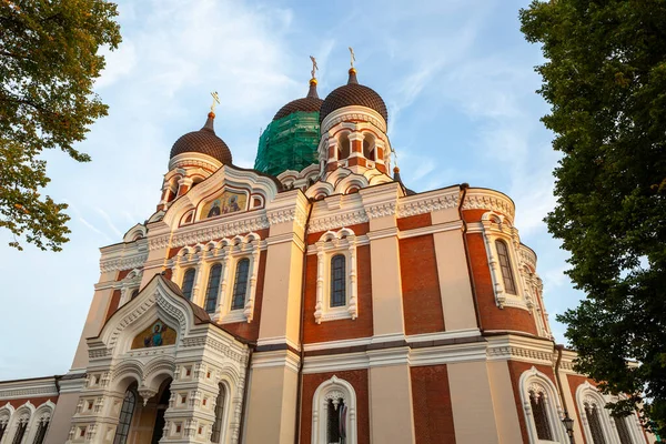 Vue Bas Cathédrale Alexander Nevsky Tallinn Estonie — Photo