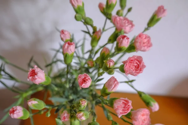 一束粉红色的康乃馨在一个花瓶顶部 透过白色的墙壁和木制抽屉看风景 复制空间 家居装饰 — 图库照片