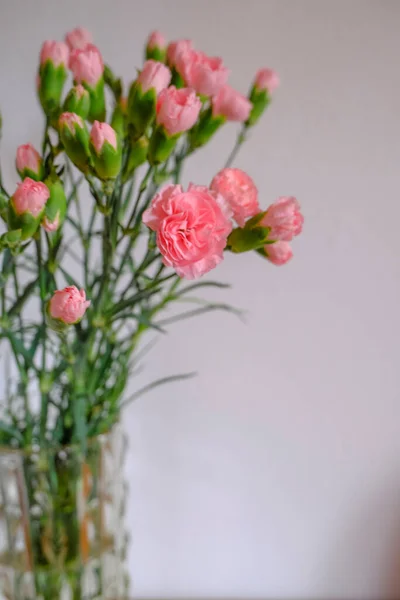 一束粉红色的康乃馨在一个花瓶顶部 透过白色的墙壁和木制抽屉看风景 复制空间 家居装饰 — 图库照片