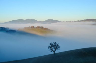 fog over the mountains and hills across the blue sky. Natural foggy landscape. Silhouette of the tree across the fog. Minimalistic panorama
