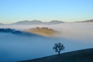 fog over the mountains and hills across the blue sky. Natural foggy landscape. Silhouette of the tree across the fog. Minimalistic panorama