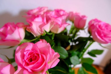 selective focus on bouquet of pink roses on a white background. Postcard design. 8 March, Mother's day card