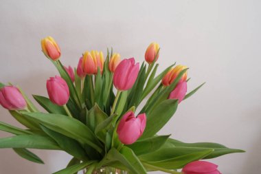 Vazodaki pembe ve sarı lale buketi beyaz çekmecenin üzerinde yakın plan. İç güvenlik. Otel içi.