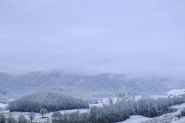 Зимний Лес Покрытый Снегом Время Метели Зимняя Природа Природа Рождественская — стоковое фото