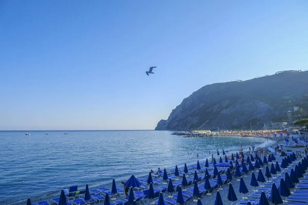 Blue Beach Chairs Umbrellas Beach Monterosso Cinque Terre Ligurian Sea — Stock Photo, Image