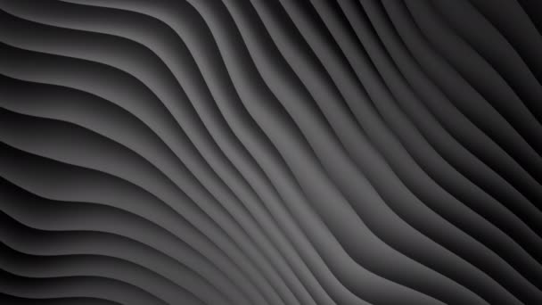 Abstrakcyjne Gradientowe Czarne Szare Tło Fal Płynna Pętla — Wideo stockowe