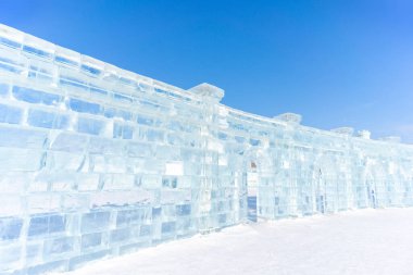 Harbin Uluslararası Buz ve Kar Heykeli Festivali, Çin 'in Harbin kentinde her yıl düzenlenen bir kış festivali. Dünyanın en büyük buz ve kar festivali..