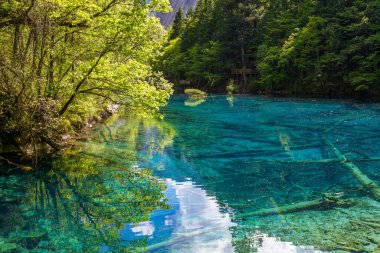 Jiuzhaigou, Çin 'in Sichuan kentinde yer alan bir doğa koruma alanıdır.