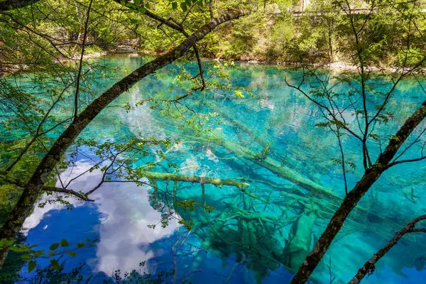 Jiuzhaigou, Çin 'in Sichuan kentinde yer alan bir doğa koruma alanıdır.