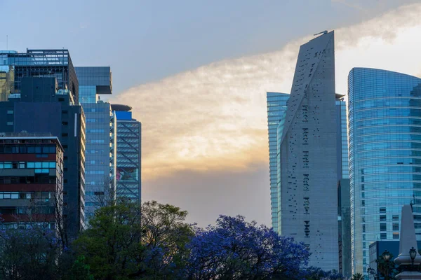 Mexico City silüeti, reforma sokağı