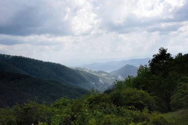 Dağda vahşi bir çevrede yürüyüş yaparken çekilmiş açık hava fotoğrafları.