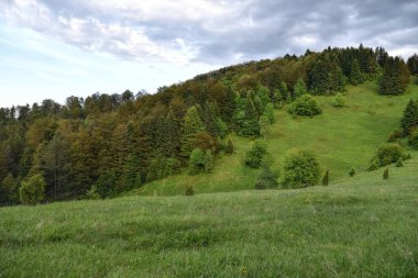 Dağda vahşi bir çevrede yürüyüş yaparken çekilmiş açık hava fotoğrafları.
