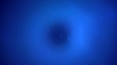 3D elle, soyut fraktal elektromanyetik arkaplan oluşturma. Bu AI Generatd illüstrasyonu değil.