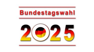 Almanya 'da Bundestagswahl 2025 - seçimler için grafik - 3D İllüstrasyon