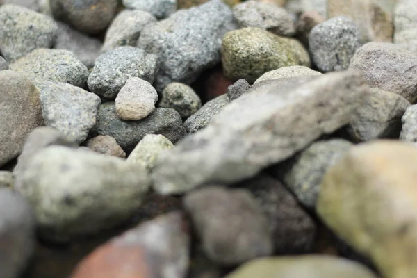 Natural Rocks River Bank Pebbles Colored Pebbles Water Close Texture — Stock Photo, Image