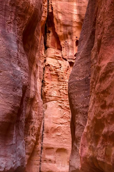 The Siq, narrow red canyon wall texture background in Petra, Jordan, UNESCO World Heritage Site