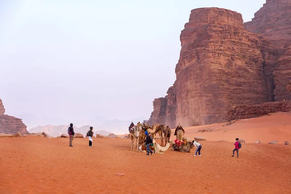 ヨルダン ワディ 2022年11月2日 ラクダは砂漠の砂の上に残り 周りの人々 砂岩の景観 — ストック写真