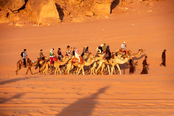 Jordanien Wadi Rum November 2022 Kamelkarawane Mit Touristen Der Wüste — Stockfoto