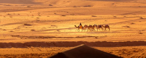 Jordan Wadi Rum Listopada 2022 Przyczepa Wielbłądów Droverami Pustyni Góry — Zdjęcie stockowe