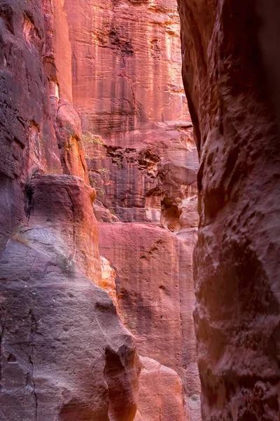 Siq Canyon Petra Jordan Pink Red Sandstone Walls Both Sides — Stock Photo, Image