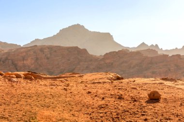 Petra, Ürdün, UNESCO Dünya Mirası Alanında kum taşı kanyonu, ağaç ve kaya oluşumları