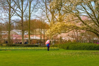 Lisse, Netherlands - April 4, 2016: People in dutch spring garden Keukenhof