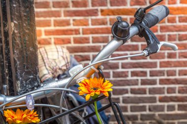 Old bicycle with flower in front of the brown brick wall, close-up