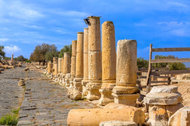 Kuzey Ürdün 'deki Umm Qais yolu. Ülkenin kuzeybatısında yer almaktadır.