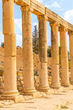 Jerash, Ürdün, Antik Sokak Kardo Maximus Sütunları, Antik Roma Gerasa