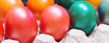 Brightly colored Easter eggs in egg carton holder, holiday banner background
