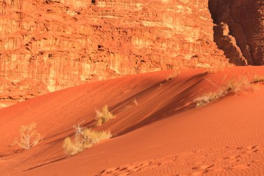 Kuru bitkiler, turuncu çöl kum tepesi manzarası Wadi Rum, Ürdün