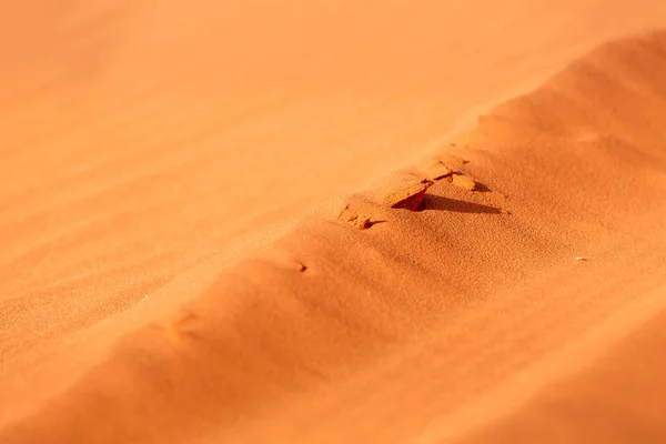 ゴールデンオレンジ砂漠の砂のテクスチャの背景 ワディ ヨルダン — ストック写真