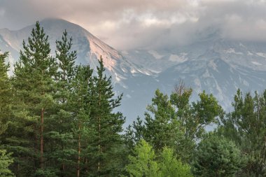 Orman çam ağaçları yaz, günbatımı manzarası, Pirin dağları zirveleri, Bulgaristan