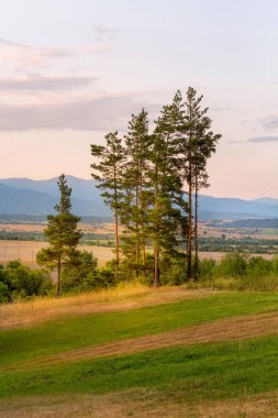 Yazın yeşil çayır ve ağaçlar, günbatımı manzarası, dağlar, Bulgaristan