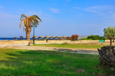 Nea Poteidaia, Yunanistan - 10 Haziran 2018: Kumsaldaki palmiye ağacı, deniz ve mavi gökyüzü tatil arka planı