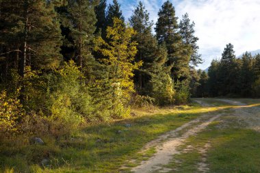 Bansko kayak yolu, Bulgaristan. Renkli ağaçlar ve Pirin dağlarıyla sonbahar manzarası