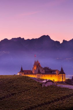 Günbatımı, İsviçre 'deki üzüm bağları ve İsviçre Alpleri arasında ünlü Chateau dAigle manzarasını aydınlattı.